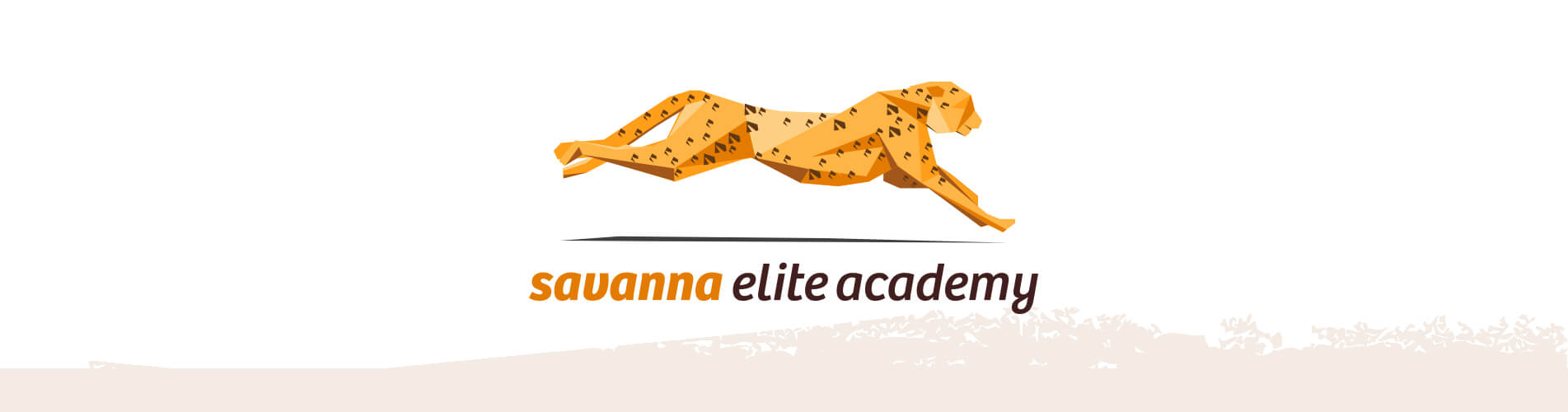 banner-savanna-elite-academy.jpg